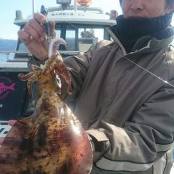 シースナイパー海龍 釣果