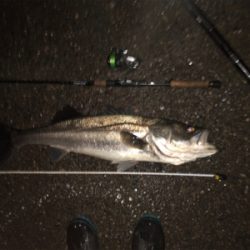 雨後の釣行