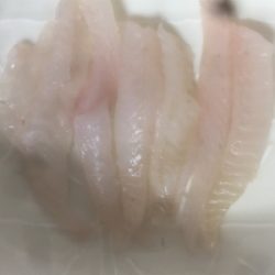 刺身をねだられて