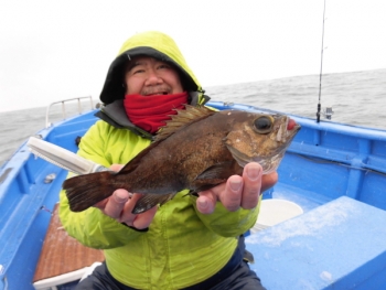 鯛紅丸 釣果