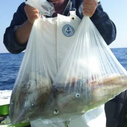 松栄丸 釣果