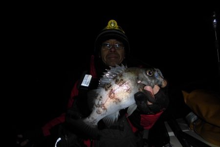 ルアー船マヒマヒ 釣果