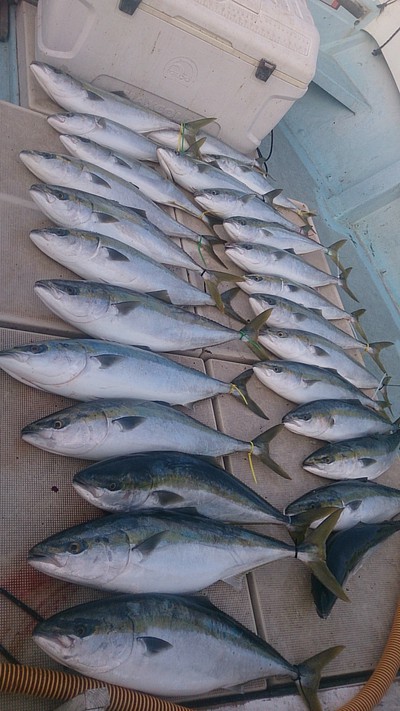 旭星釣りセンター 釣果