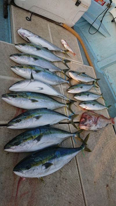 旭星釣りセンター 釣果