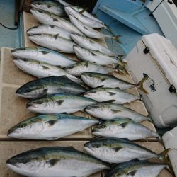 旭星釣りセンター 釣果