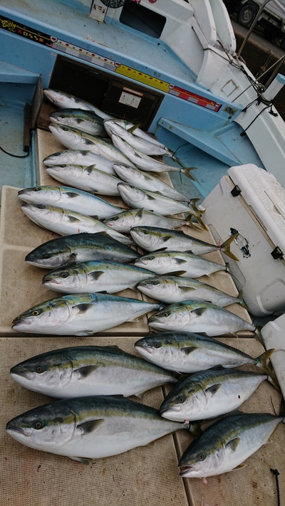 旭星釣りセンター 釣果