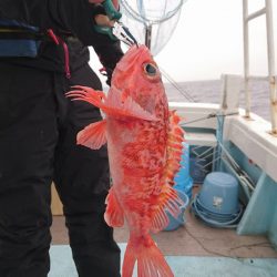 結愛丸 釣果