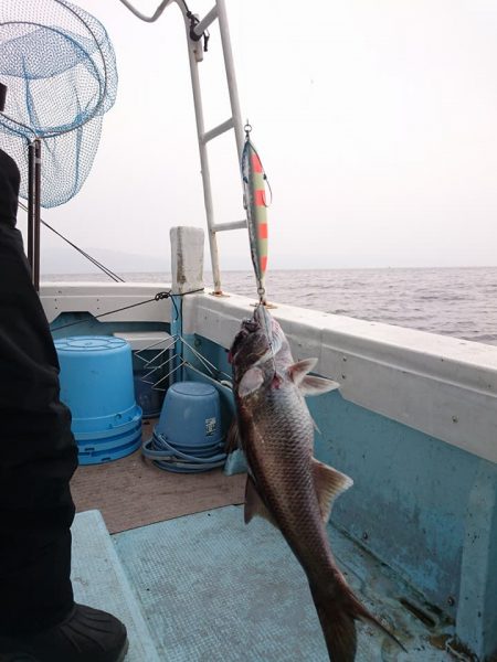 結愛丸 釣果