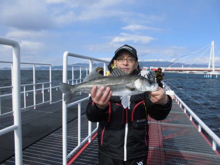 尼崎市立魚つり公園 釣果