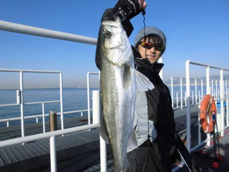 尼崎市立魚つり公園 釣果