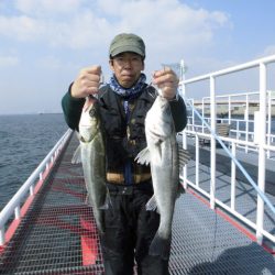 尼崎市立魚つり公園 釣果