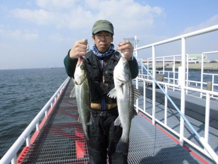 尼崎市立魚つり公園 釣果