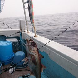 結愛丸 釣果