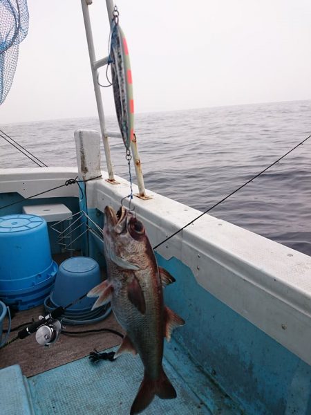 結愛丸 釣果