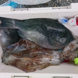 千津丸 釣果