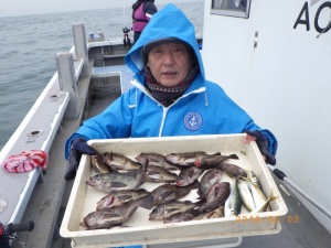 石川丸 釣果