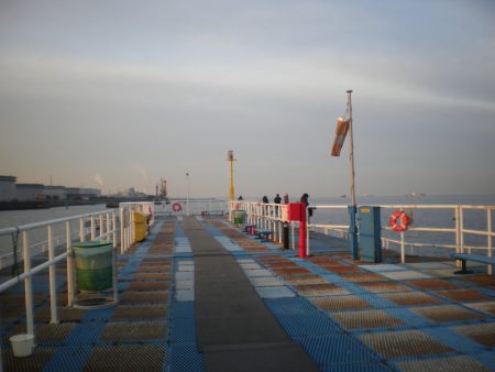 オリジナルメーカー海づり公園(市原市海づり施設) 釣果