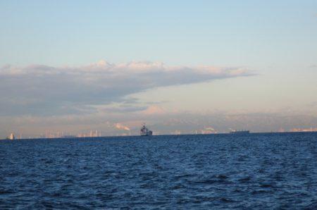 オリジナルメーカー海づり公園(市原市海づり施設) 釣果