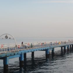 オリジナルメーカー海づり公園(市原市海づり施設) 釣果