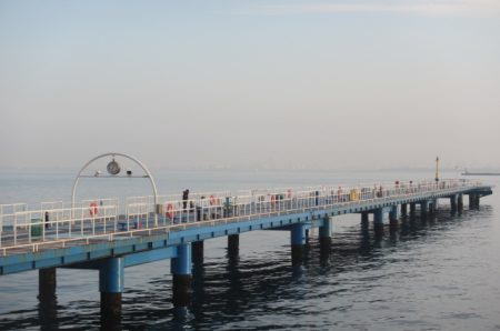 オリジナルメーカー海づり公園(市原市海づり施設) 釣果