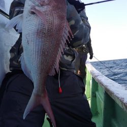 遊漁船 新鋭丸 釣果