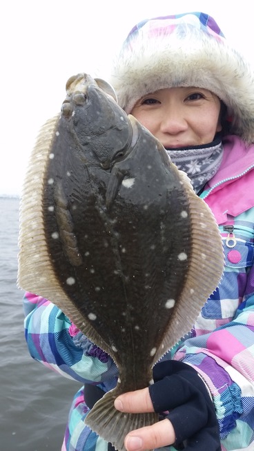 めだか屋 釣果