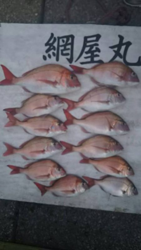 網屋丸 釣果