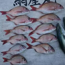 網屋丸 釣果