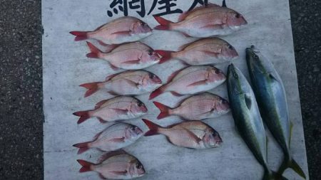 網屋丸 釣果