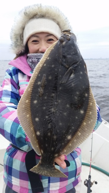 めだか屋 釣果