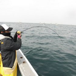 大進丸（愛知） 釣果