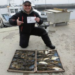 大進丸（愛知） 釣果