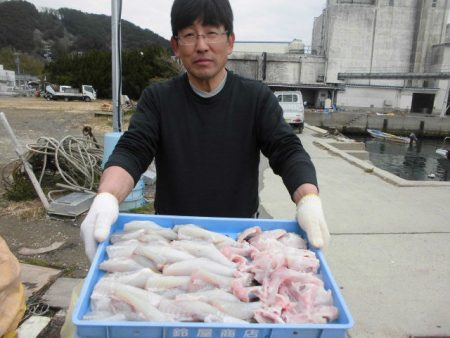 大進丸（愛知） 釣果