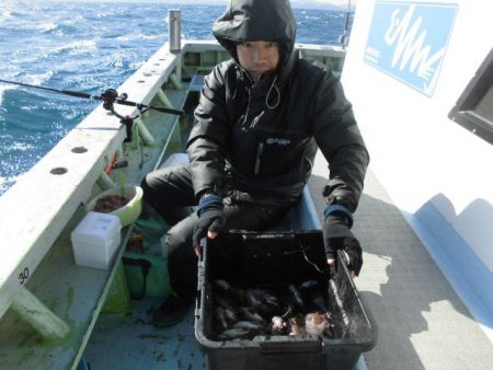 大進丸（愛知） 釣果