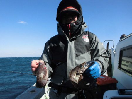 大進丸（愛知） 釣果