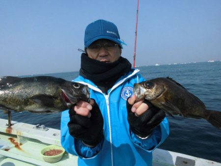 大進丸（愛知） 釣果