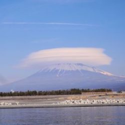 第五裕丸 釣果