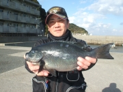 春日丸 釣果