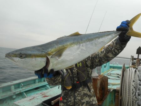 大進丸（愛知） 釣果