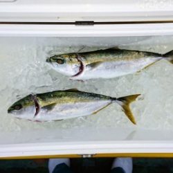 火遠理丸（ほおりまる） 釣果