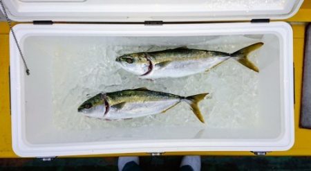 火遠理丸（ほおりまる） 釣果