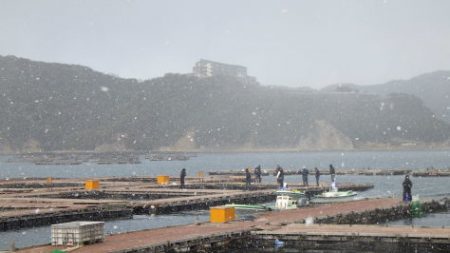 淡路じゃのひれフィッシングパーク 釣果