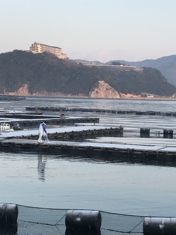 淡路じゃのひれフィッシングパーク 釣果