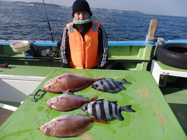 久里浜黒川本家 釣果