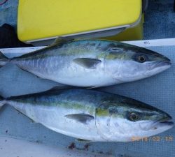 石川丸 釣果