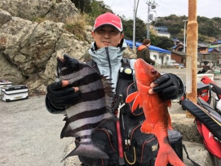 鵜来島家本渡船 釣果