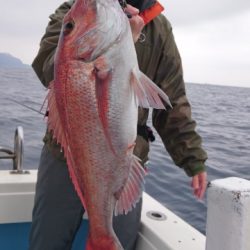 海晴丸 釣果