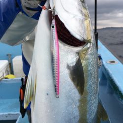 松鶴丸 釣果