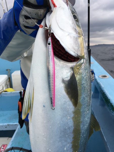 松鶴丸 釣果