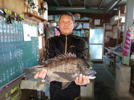 ふじや釣舟店 釣果